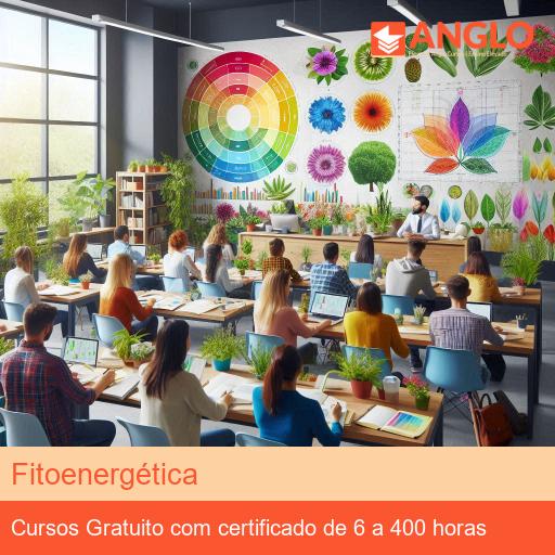 Fitoenergética