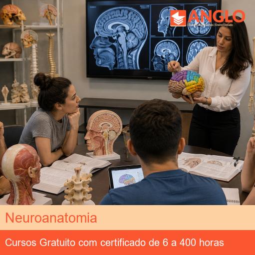 Neuroanatomia